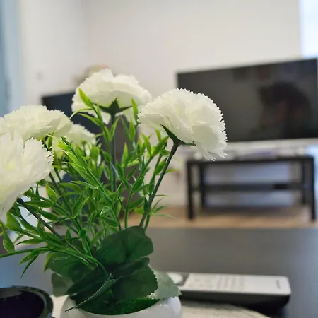 Heide Nord Nr-1 * שנברדינגן